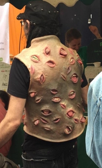 Veste de mauvais goût ?