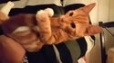 Mylo se fait plaisir tout seul