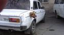 Un lion dans le moteur