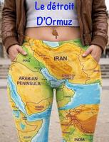 Le détroit d'Ormuz est admirablement situé