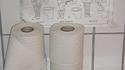 Brosse de toilette