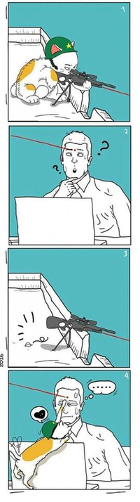 Pourquoi n'y a-t-il pas de chat sniper? 