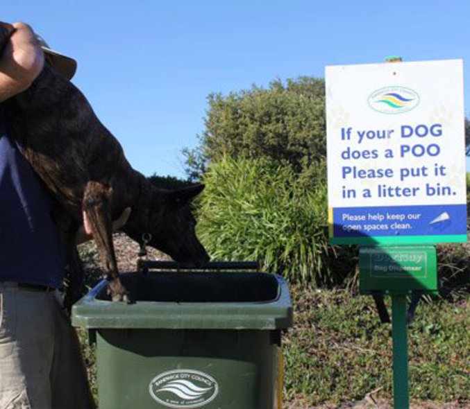 "Si votre chien fait un caca, merci de le mettre à la poubelle"