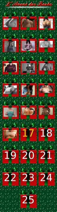 Calendrier de l'Avent
