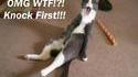 Knock first !