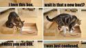 Histoire de chat