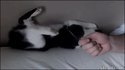 Mylo disparaît dans les abysses...