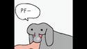Pouet