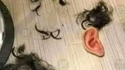 S'improviser coiffeur pendant le confinement