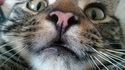 la mode du selfie 