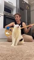 Il prend toujours de l’herbe à chat marocaine avant de l’écouter jouer.