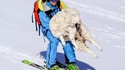 La piste interdite 