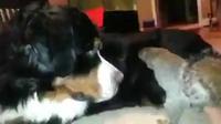 Une bonne cachette