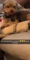 Pendant ce temps là dans le salon,