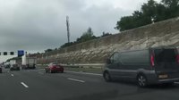 Un oiseau sur l'autoroute 