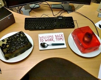 Bon retour au travail Tom