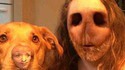 Inversion de visage avec un chien !