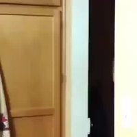 Réflexe ninja