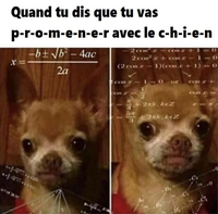 Quand tu ne veux pas éveiller des soupçons 