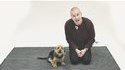 Des chiens régaissent aux aboiements humains