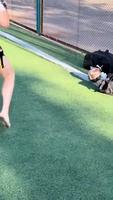 Nouveau sport : Footbox