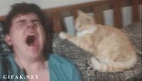 Waaaaah !