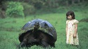 Une tortue et une petite fille