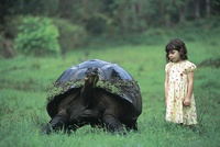 Une tortue et une petite fille