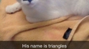 Triangle
