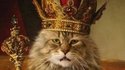 Le Roi des FDP