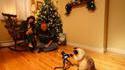 Photo de Noël