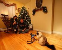 Photo de Noël