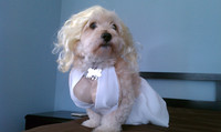 Marylin Monroe