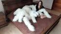 une peluche géante  avec plein de bras...