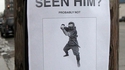 Avez-vous vu ce ninja ?