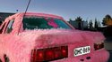 Voiture moumoute