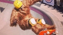 Chewbaskate