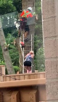 Un petit coup de main