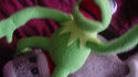 Kermit la grenouille