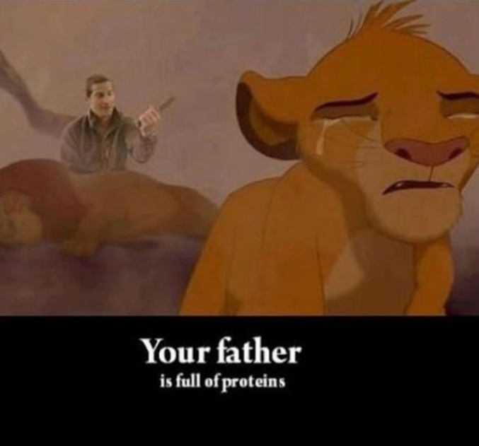 Le Roi Lion Ton Père