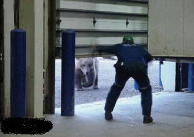 Un ours débarque à la porte d'un atelier.