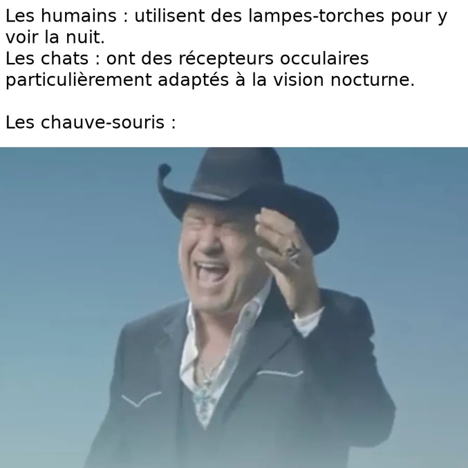 Tant que ça fonctionne...