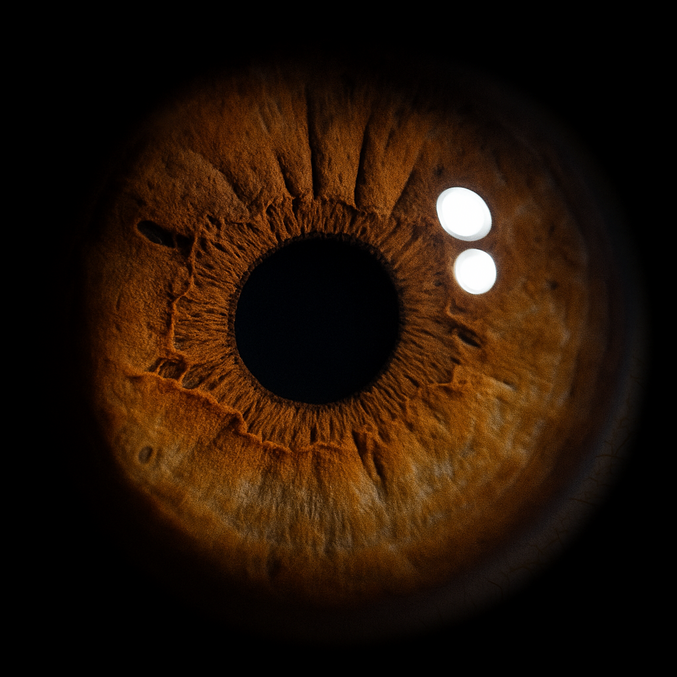 En prenant en photo son œil et en mettant la photo et ce texte sur chatgpt on ce résultat . 

Peux-tu me générer avec uniquement l'iris de mon oeil en gros plan objet 100mm qualité 4hd avec l'iris sur fond ombre noir avec un seul iris visible avec mon iris plus net rapport 1:1.