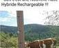 Jouer à cahce-vache