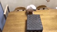 Le jeu de la boîte