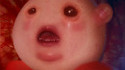 Kirby en vrai