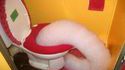 WC trop propre