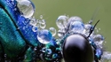 Focus Stacking