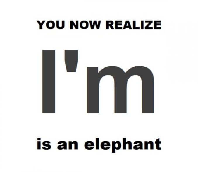 ... is an elephant