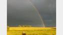 Un bel arc-en-ciel